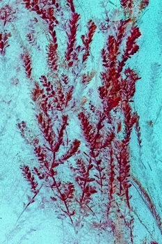 N 060E